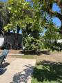 334 Fan Palm - Photo 22
