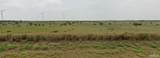 Tract 7 Fm 490 - Photo 1