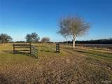 23713 Rabb - Photo 31
