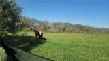8569 Charles Green - Photo 20