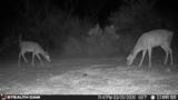 0 Private - Photo 21