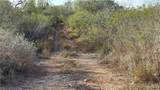 315 Guajolote Ranch - Photo 11