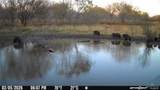 315 Guajolote Ranch - Photo 13