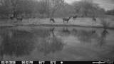 315 Guajolote Ranch - Photo 14