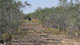 17391 Chapa - Photo 22