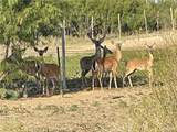 0 Loma Blanca - Photo 2