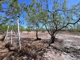 33607 Barlow - Photo 12