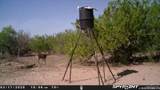 0 Cr 309 - Photo 18