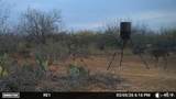 0000 Us Highway 83 - Photo 11