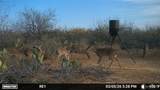 0000 Us Highway 83 - Photo 16