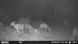 0000 Us Highway 83 - Photo 17