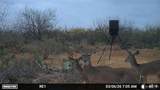 0000 Us Highway 83 - Photo 18