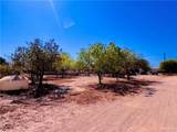 23381 Us Highway 281 - Photo 19