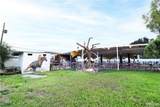 6200 Bentsen Palm - Photo 9