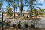 8913 Bentsen Palm - Photo 1