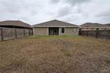 23393 Tangerine - Photo 11