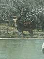 142 Old San Isidro - Photo 12