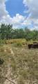 000 Mi Ranchita - Photo 4