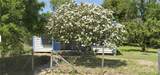 119 Datil - Photo 11