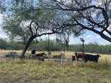 47 Mirasoles - Photo 13