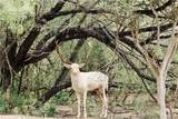 141 Villareal - Photo 27