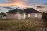 733 Ficus - Photo 20