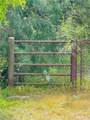 00 Samar - Photo 4