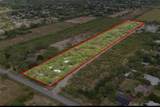 10284 Bentsen Palm - Photo 3
