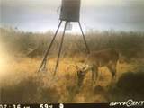 00 Frontier - Photo 3