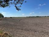 8655 Mile 17 1/2 - Photo 8