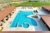 5336 Escondido - Photo 31