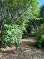 3217 Upas - Photo 17
