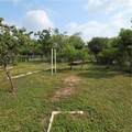 16073 Us Highway 281 - Photo 11