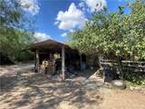 1403 White Rock - Photo 10