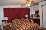345 Fan Palm - Photo 6