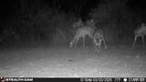 0 Private - Photo 22