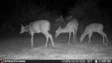 0 Private - Photo 23