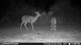0 Private - Photo 24