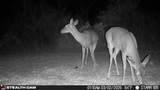 0 Private - Photo 25