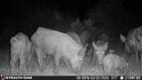 0 Private - Photo 27
