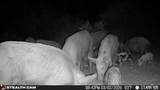 0 Private - Photo 28