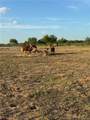 20822 Buck Fawn - Photo 4