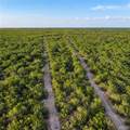00001 Fm 3167 - Photo 11