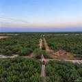 00001 Fm 3167 - Photo 6