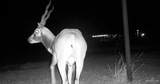 3660 State Highway 285 - Photo 10