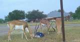 3660 State Highway 285 - Photo 16