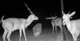 3660 State Highway 285 - Photo 7