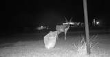 3660 State Highway 285 - Photo 8