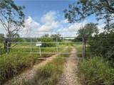 281 Expressway - Photo 1