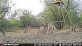 0 Fm 339 - Photo 7
